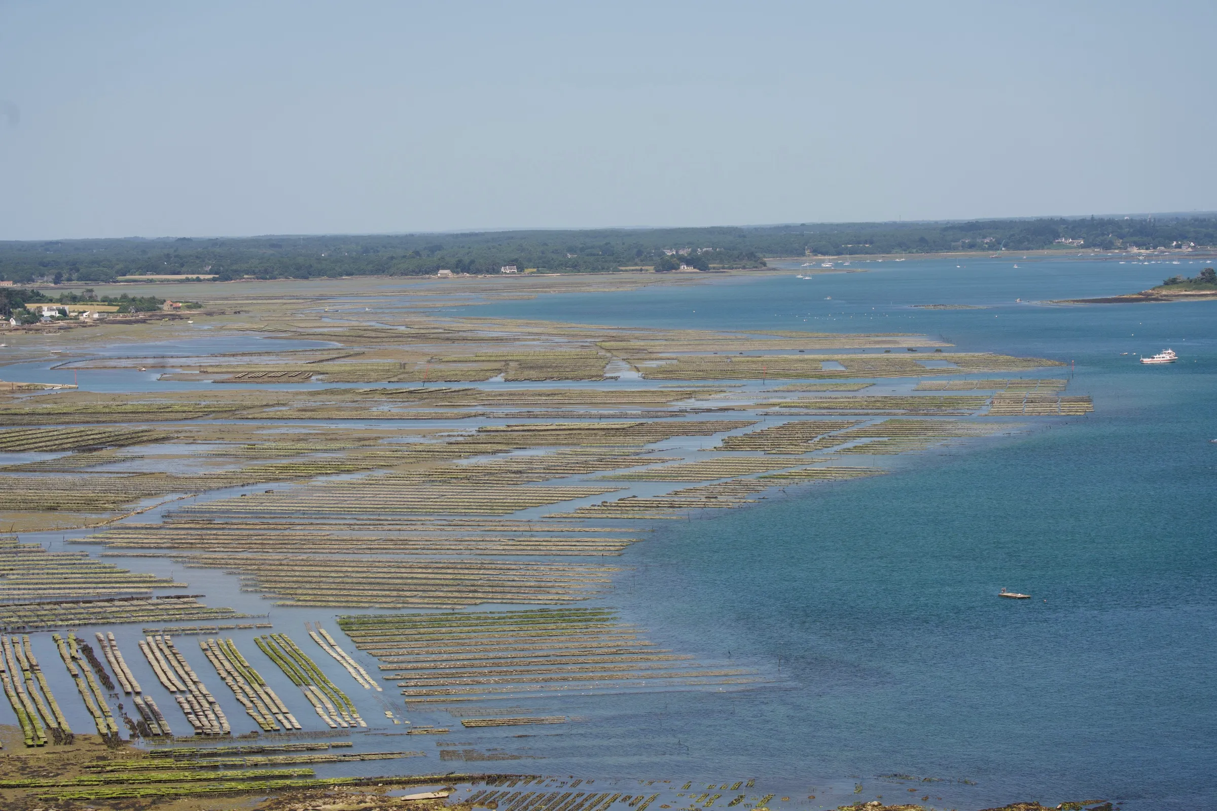 Vue aérienne des parcs à huîtres du Morbihan